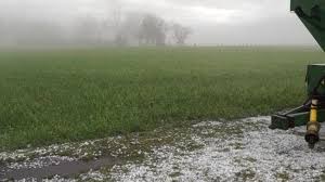 Esperan más lluvias en próximos días