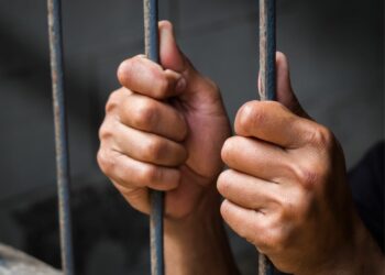 Violar veda de camarón se castiga con multas… y hasta con 9 años de cárcel