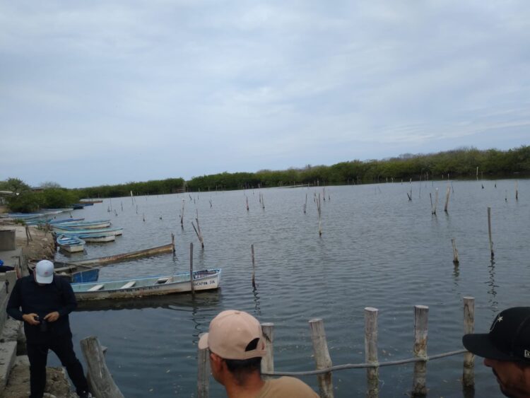 Estarán pendientes que pescadores respeten la veda del camarón en laguna madre