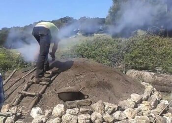 Vigila PROFEPA no se cometan atentados contra el medio ambiente