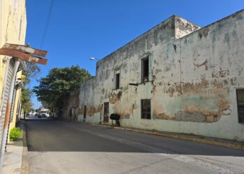 Viejas casonas siguen convertidas en un riesgo publico