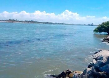 Hidrocarburo de refinería vuelve a derramarse en el río Pánuco