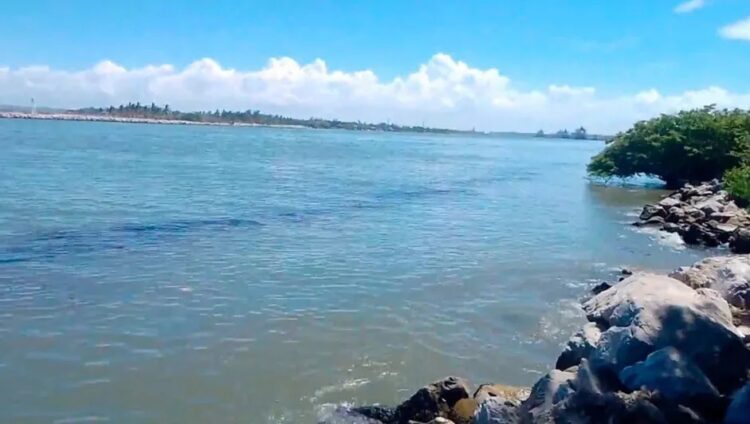 Hidrocarburo de refinería vuelve a derramarse en el río Pánuco