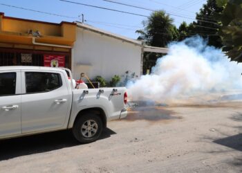 Torturan zancudos insaciables a familias de zonas rurales y la cabecera municipal