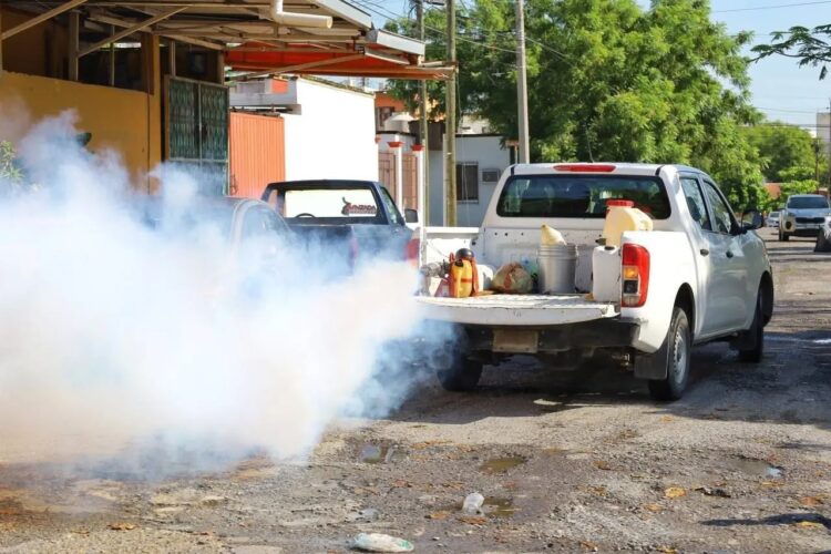 Se ríen zancudos de los insecticidas