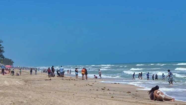Tamaulipas se prepara para una gran ocupación hotelera este verano