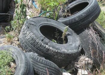 Llantas fuera de uso con criaderos naturales de zancudos
