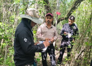 Refuerza Tamaulipas la vigilancia para proteger a la paloma ala blanca