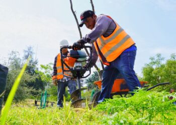 Fortalece SEDUMA reforestación urbana en Parques del Bienestar
