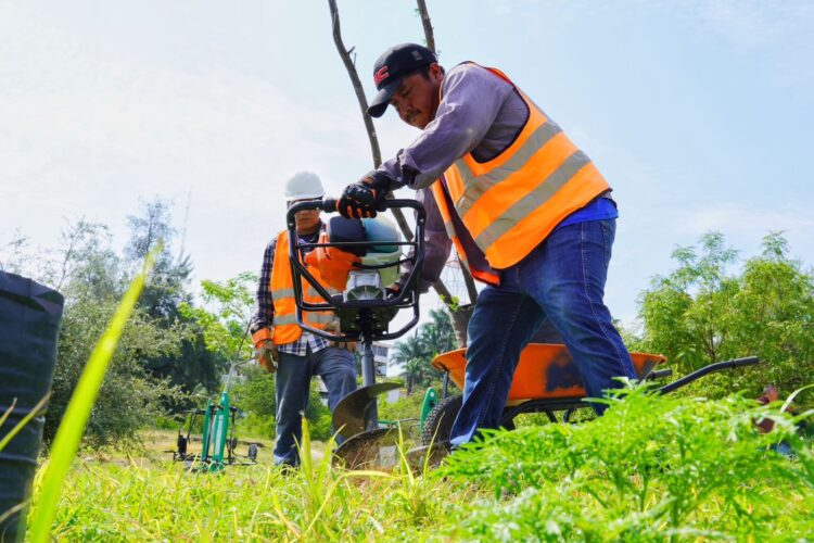 Fortalece SEDUMA reforestación urbana en Parques del Bienestar
