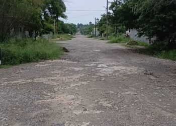 T E C L A Z O S/EN MÉXICO MANDA EL PUEBLO Y NADIE MÁS: OLGA SOSA