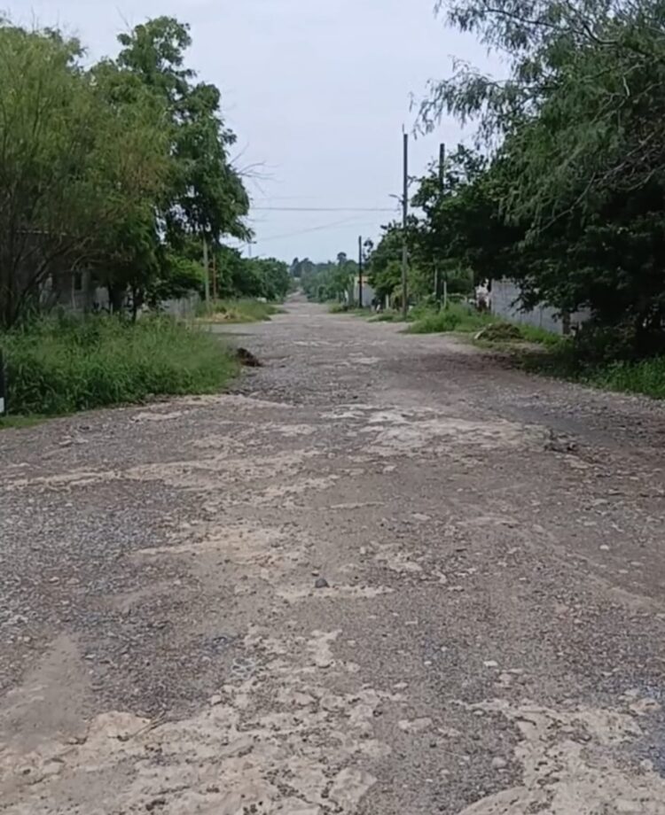 T E C L A Z O S/EN MÉXICO MANDA EL PUEBLO Y NADIE MÁS: OLGA SOSA