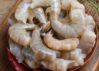 Por salir veda del camarón en la laguna madre