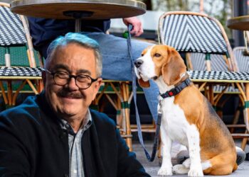 Pedro Sola se queja de los perros en plazas y restaurantes: ‘Con ganas de darles carne envenenada’