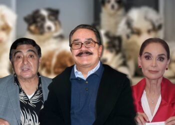 ‘Está enfermo’: Carlos Bonavides, Lupita Jones y famosos critican a Pedro Sola por comentario sobre perros