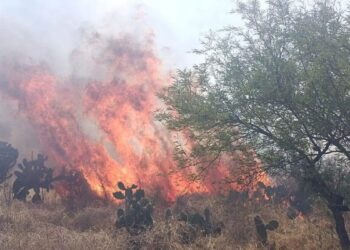 Vienen temperaturas calcinantes… ¡cuidado con los incendios!