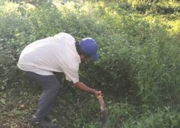 Después de seis meses trabajo apenas repunta 
