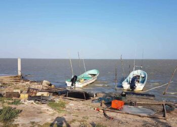 Hoy se termina veda de camarón en la laguna madre; pero entra “la canícula”