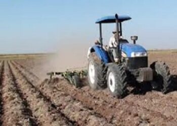 Comenzarán a preparar las tierras rumbo al próximo ciclo temprano