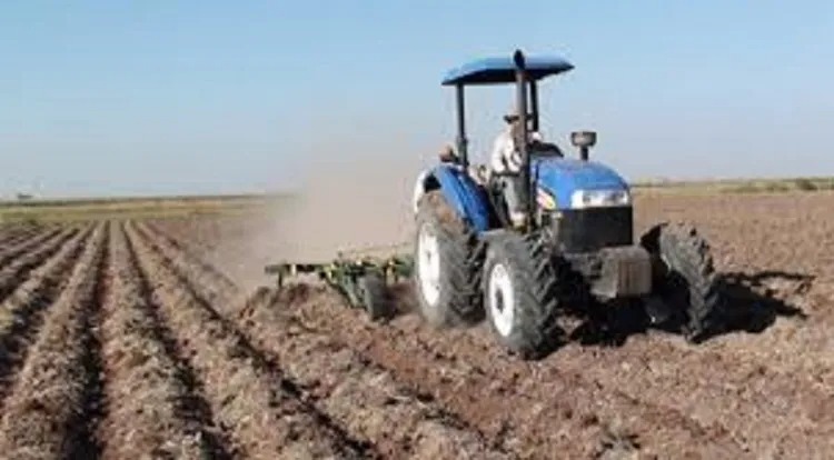 Comenzarán a preparar las tierras rumbo al próximo ciclo temprano