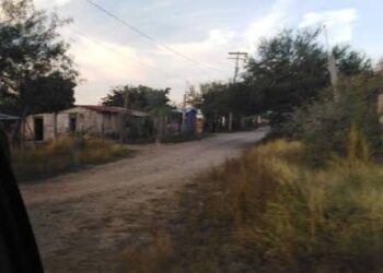 Familias de todo el municipio de San Fernando piden fumigaciones urgentes
