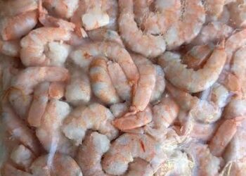“La canícula” le da para arriba al precio del camarón cocktelero; hasta 300 pesos por kilo
