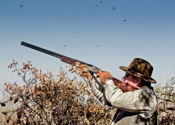 PROFEPA irá sobre cazadores furtivos de palomas “Alas Blancas”