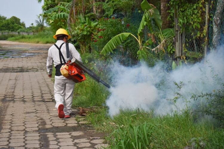 Familias de colonias populares piden urgente fumigación contra zancudos