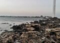 A días de iniciar otra veda de lisa en aguas de la laguna madre