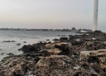 A días de iniciar otra veda de lisa en aguas de la laguna madre