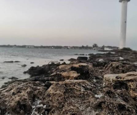 A días de iniciar otra veda de lisa en aguas de la laguna madre