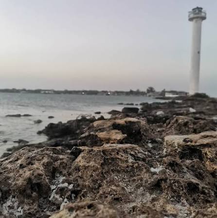 A días de iniciar otra veda de lisa en aguas de la laguna madre