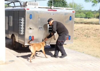 Obtienen binomios K-9 de la Guardia Estatal primeros lugares de su especialidad en certificación canina