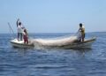 Mañana inicia nueva veda de Lisa en aguas de la laguna madre