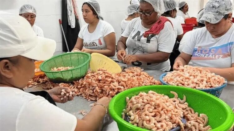 Conquistan estudiantes de CONALEP Tamaulipas el segundo lugar del Campeonato Mundial de Robótica en Japón