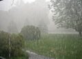 Lluvias llegan para mejorar el panorama en la zona de San Fernando
