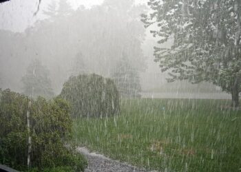 Lluvias llegan para mejorar el panorama en la zona de San Fernando