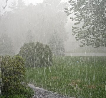 Lluvias llegan para mejorar el panorama en la zona de San Fernando