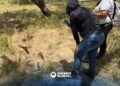 Tamaulipas lidera almacenamiento de fragmentos humanos sin identificación