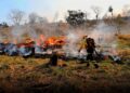 Multas y cárcel para quienes provoquen peligrosos incendios