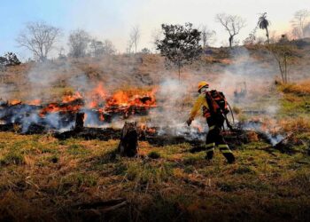 Multas y cárcel para quienes provoquen peligrosos incendios