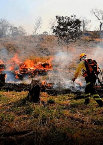 Multas y cárcel para quienes provoquen peligrosos incendios