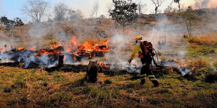 Multas y cárcel para quienes provoquen peligrosos incendios