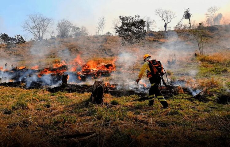 Multas y cárcel para quienes provoquen peligrosos incendios