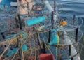 Esperan pescadores que en otoño mejore captura de pescados y mariscos