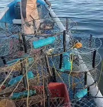 Esperan pescadores que en otoño mejore captura de pescados y mariscos