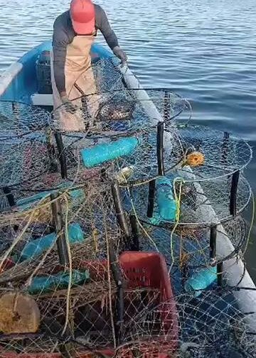 Esperan pescadores que en otoño mejore captura de pescados y mariscos