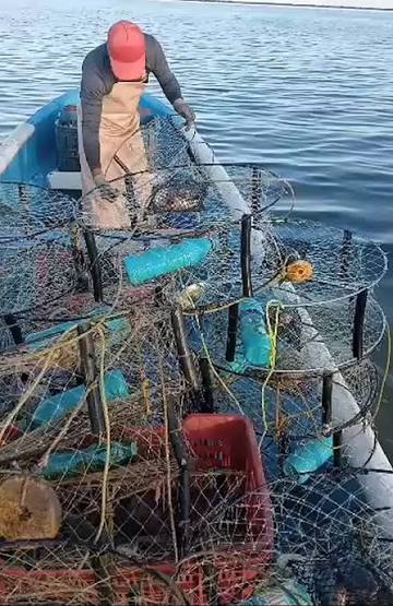Esperan pescadores que en otoño mejore captura de pescados y mariscos