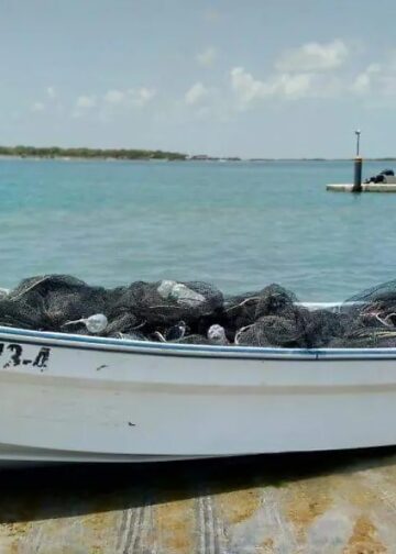 “Los arrastres” en la laguna madre, son un crimen contra la naturaleza