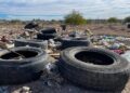 En las llantas viejas y cacharros zancudos tienen sus madrigueras 